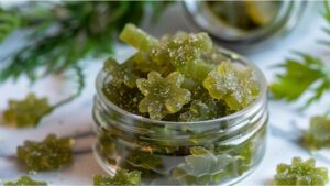 Elevate Your Health Routine with Sea Moss Gummies