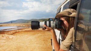 Investing in Memories Why Wildlife Photography Tours are Worth It